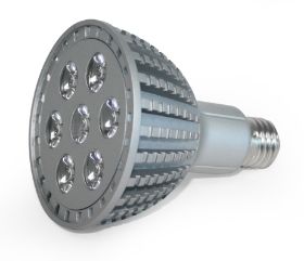 E27 LED spotlight_PAR38.jpg